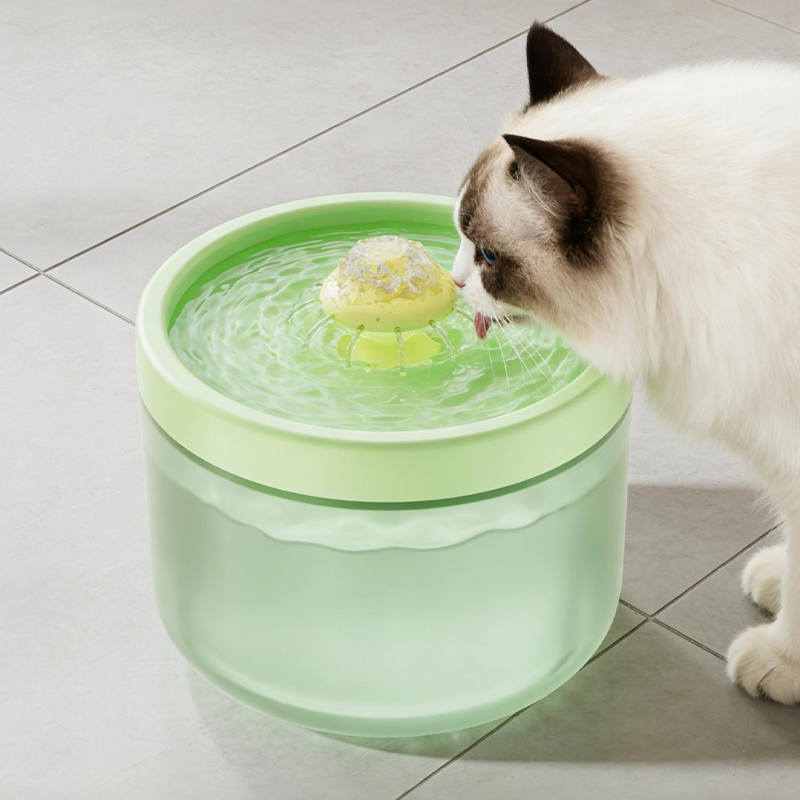 Automatischer Katzenwasserbrunnen mit großem Fassungsvermögen
