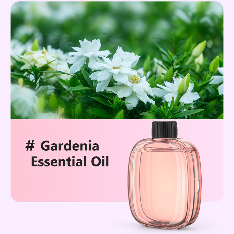 🎶Automatischer Aromatherapie-Diffusor 🌿✨ | Ultraschall-Zerstäubung · Zeitgesteuertes Sprühen · Smart Display · Wand- & Tischmontage