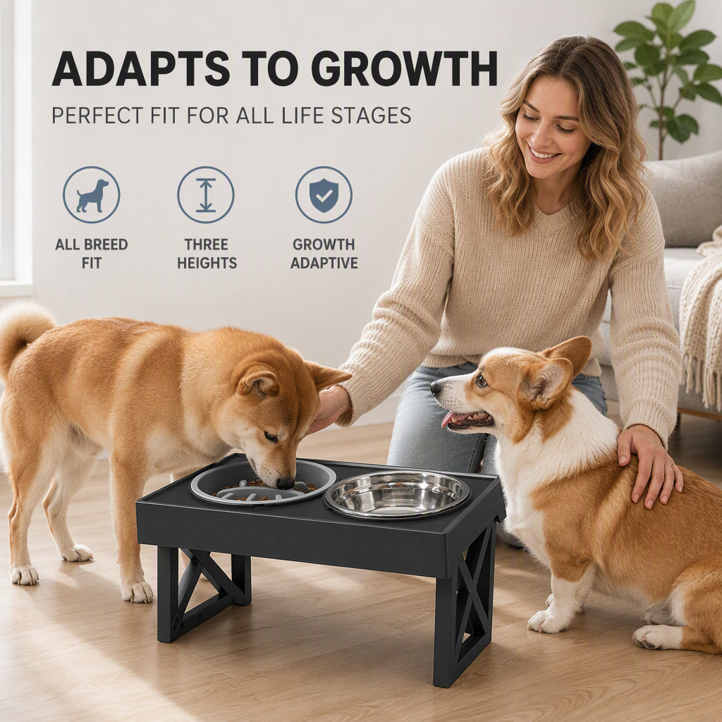 Elevated Dog Bowls with Slow Feeder & Stainless Steel Bowls