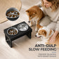 Elevated Dog Bowls with Slow Feeder & Stainless Steel Bowls