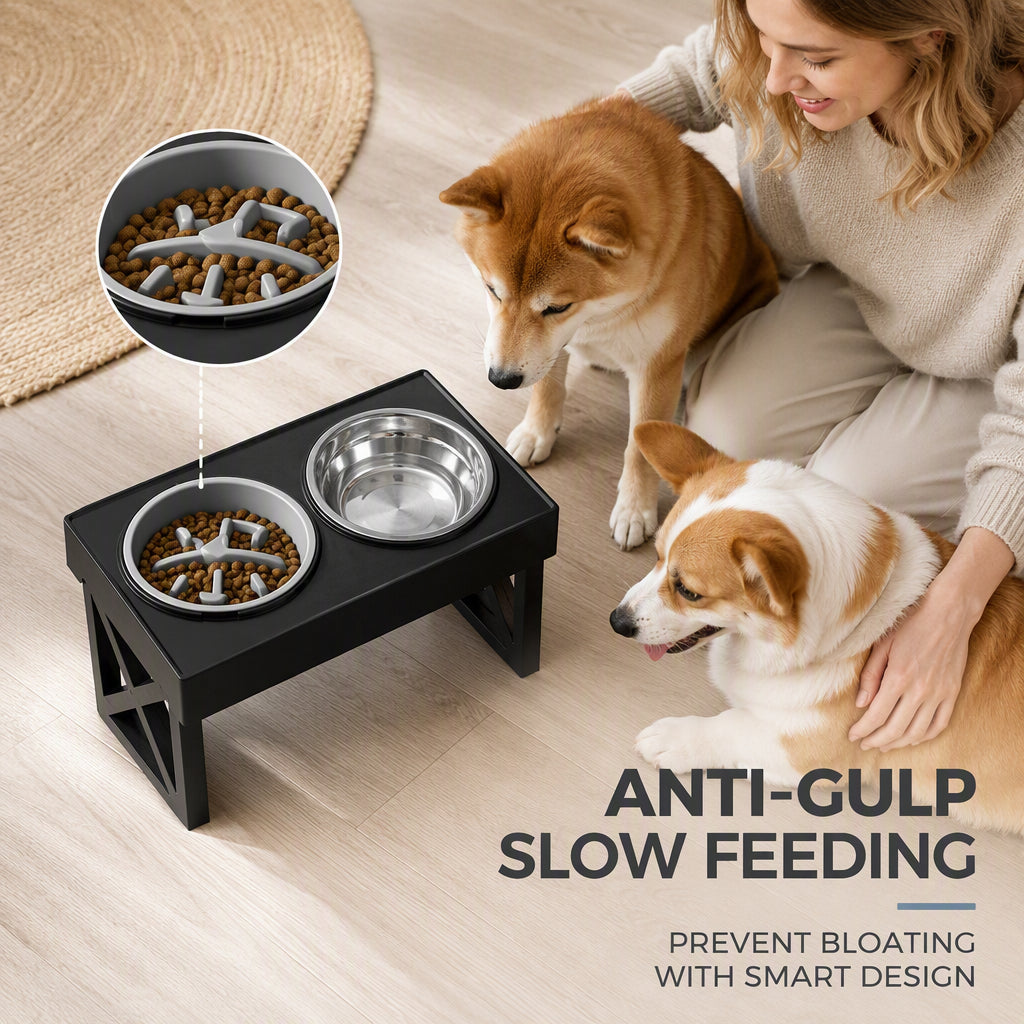 Elevated Dog Bowls with Slow Feeder & Stainless Steel Bowls