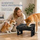 Elevated Dog Bowls with Slow Feeder & Stainless Steel Bowls