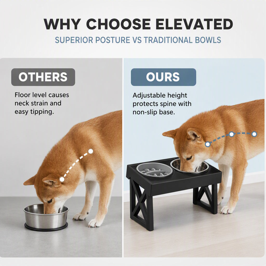 Elevated Dog Bowls with Slow Feeder & Stainless Steel Bowls