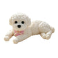🧸 50% RABATT! 🐶 Quetsch-Teddyhund – Stressabbau, weich & süß ✨