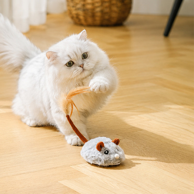 🐱50 % RABATT✨ Intelligente elektrische Spielzeugmaus für Katzen, beweglich, weckt den Jagdtrieb Ihrer Katze