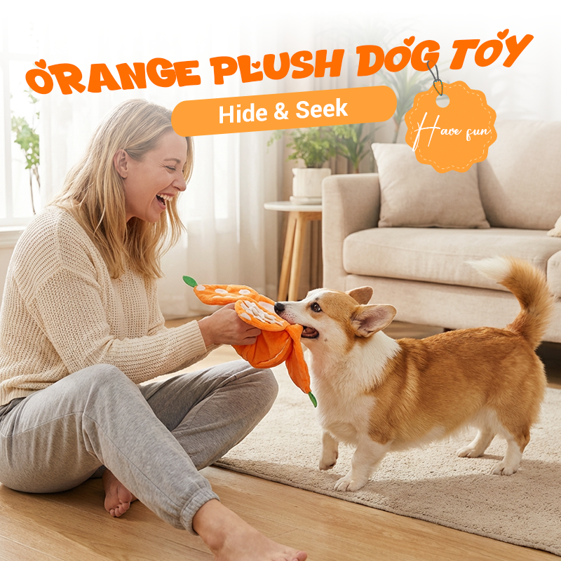 🍊 Neu & Schnüffelspaß! 🐶 Interaktives Schnüffel- & Plüsch-Hundespielzeug in Orangenform – Zwei Teile (Schale + Fruchtfleisch), versteckte Leckerli-Taschen